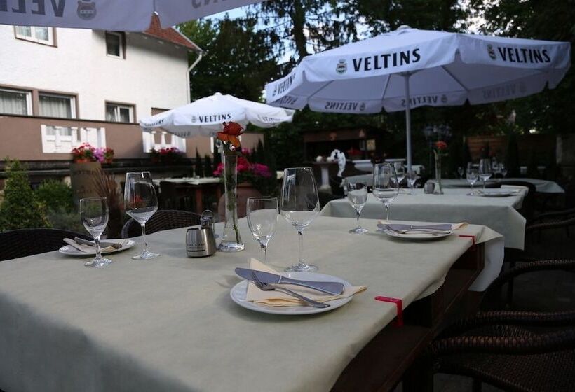 Отель Il Cavallino