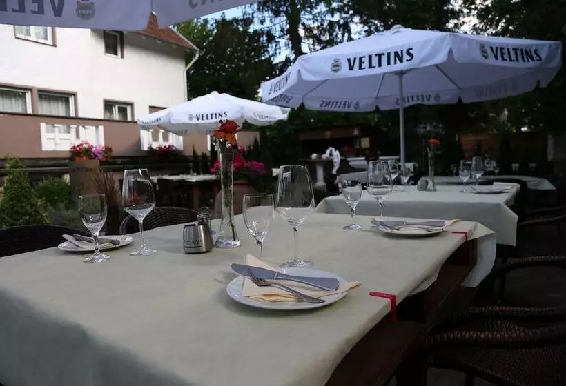 Отель Il Cavallino