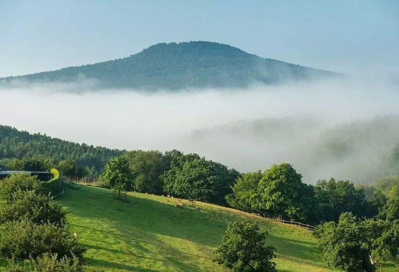 Natur Und Wohlfühlhotel Kastenholz