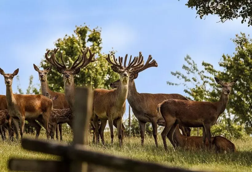 Natur Und Wohlfühlhotel Kastenholz