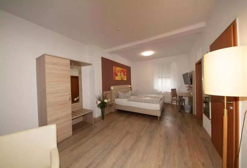 Отель Maximilian