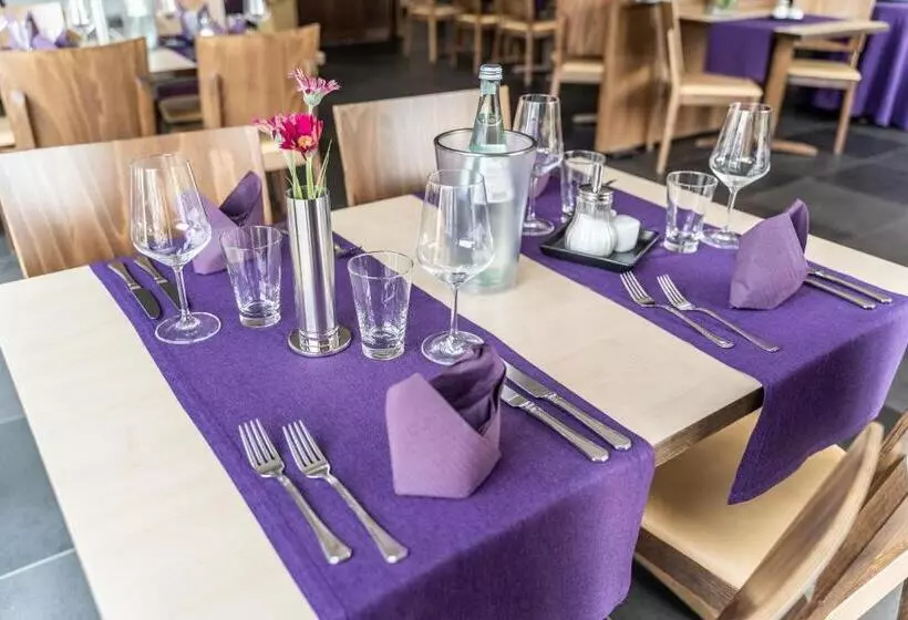 בית מלון כפרי Rieder