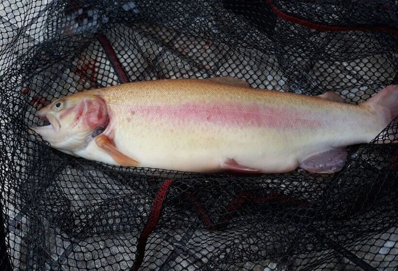 فندق Landgasthaus Zander