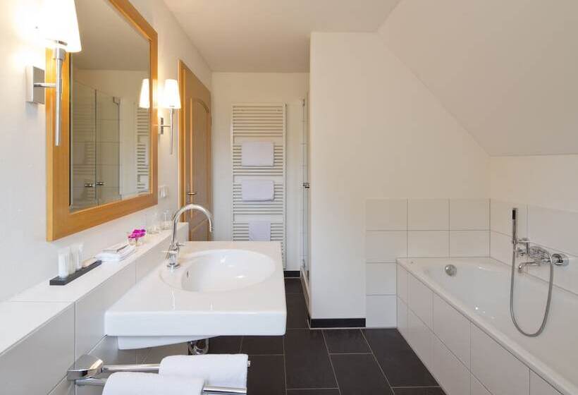 فندق Schloss Wissen