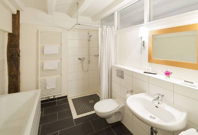 فندق Schloss Wissen