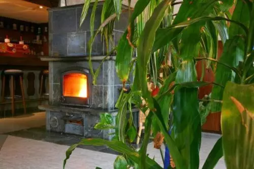 膳宿费 Gasthof Zur Mühle