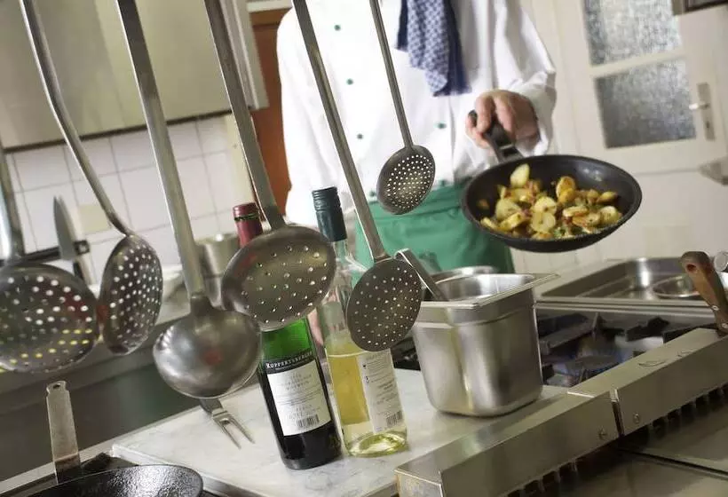 膳宿费 Gasthof Zur Mühle