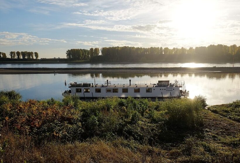 פנסיון Rhein River Guesthouse Direkt Am Rhein