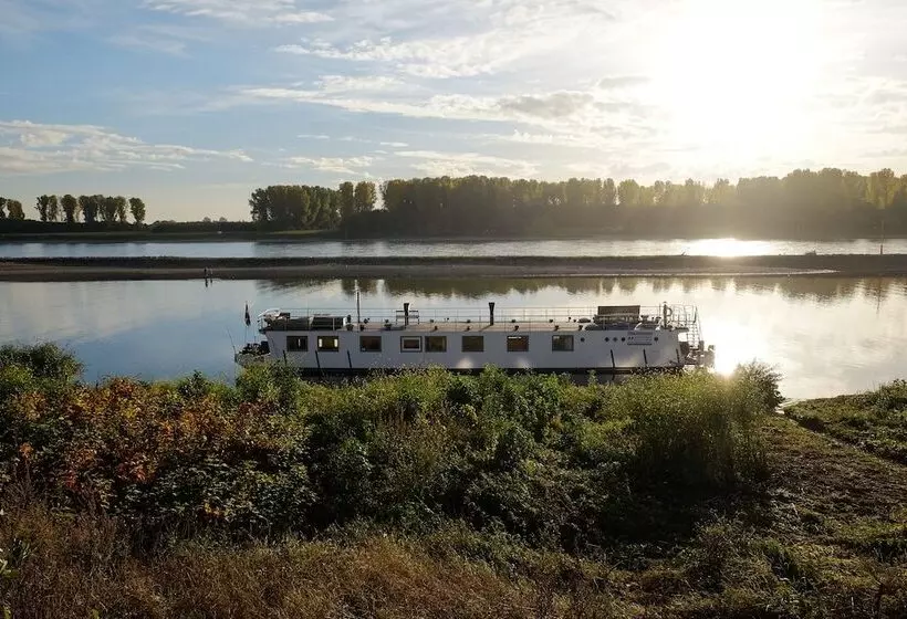 펜션 Rhein River Guesthouse   Direkt Am Rhein