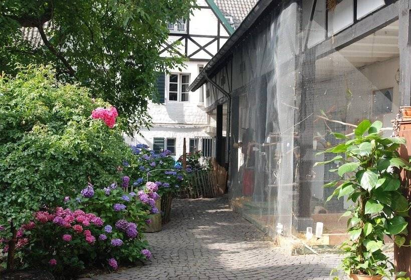 פנסיון Rhein River Guesthouse Direkt Am Rhein
