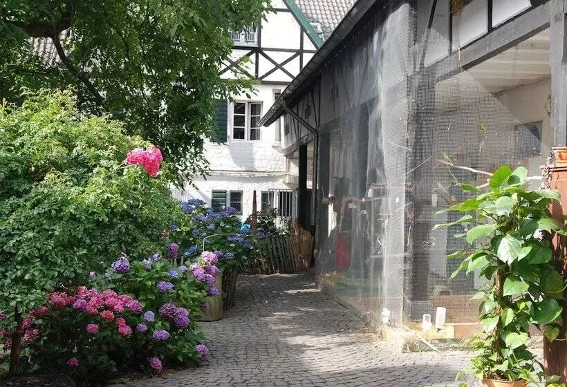 펜션 Rhein River Guesthouse   Direkt Am Rhein
