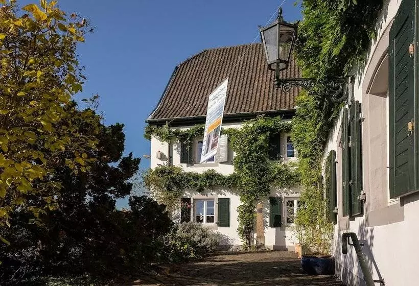 펜션 Rhein River Guesthouse   Direkt Am Rhein