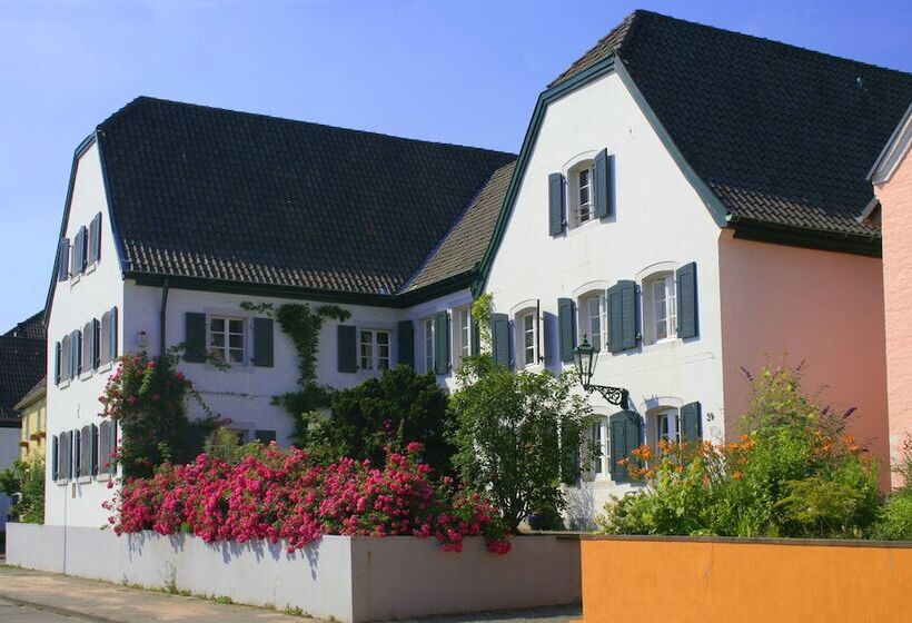 פנסיון Rhein River Guesthouse Direkt Am Rhein