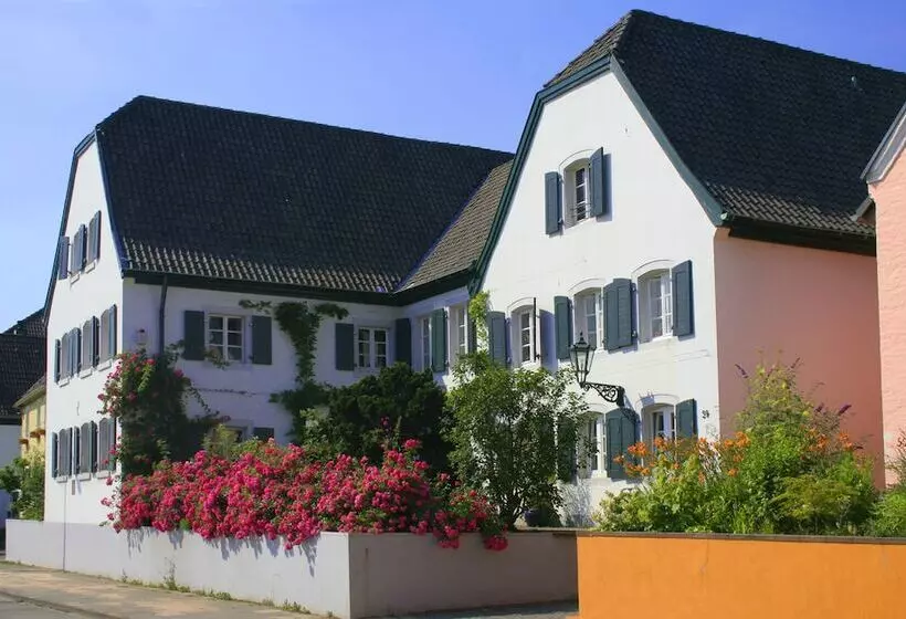 펜션 Rhein River Guesthouse   Direkt Am Rhein
