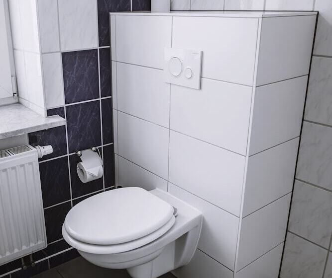 مبيت وإفطار Pension Bertha