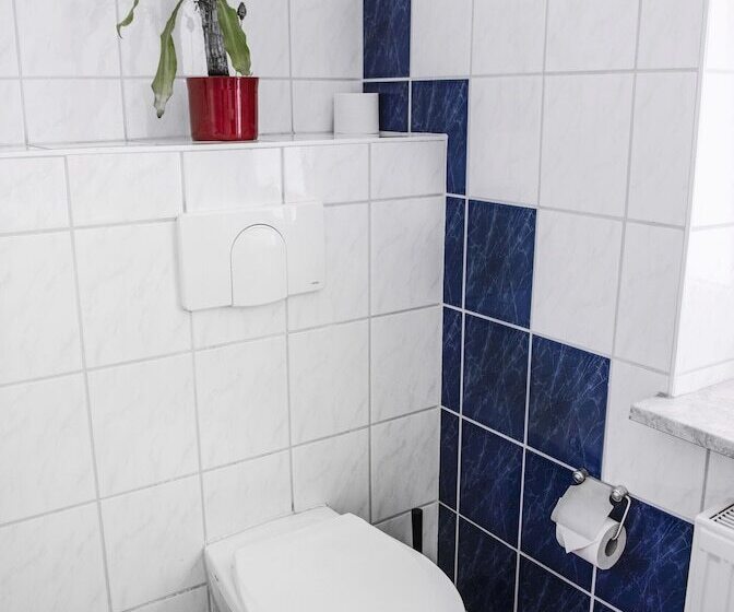 مبيت وإفطار Pension Bertha