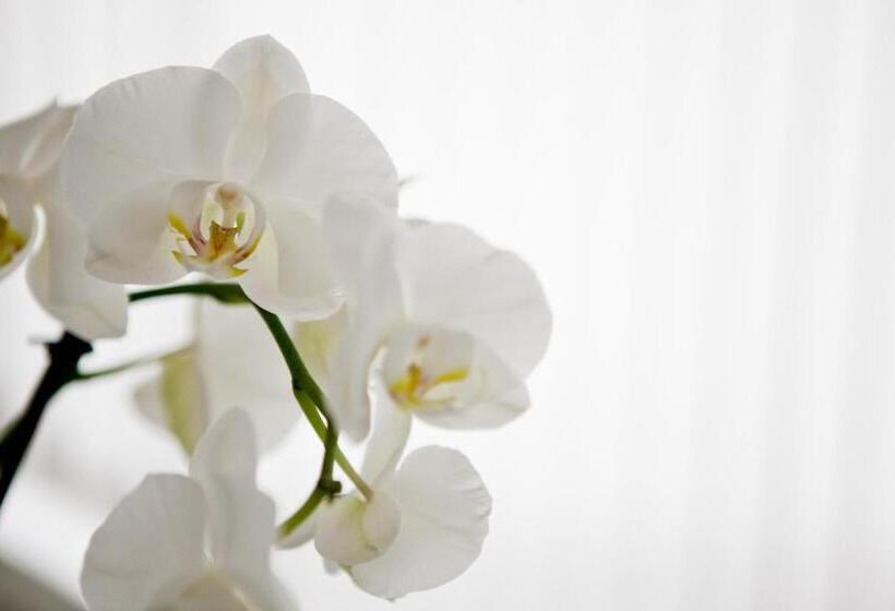 בית מלון כפרי Am Römerwall