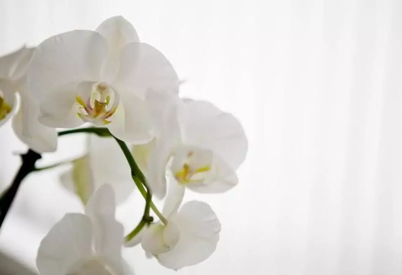 בית מלון כפרי Am Römerwall