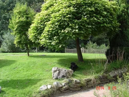 Отель Am Wulfter Turm Sportpark