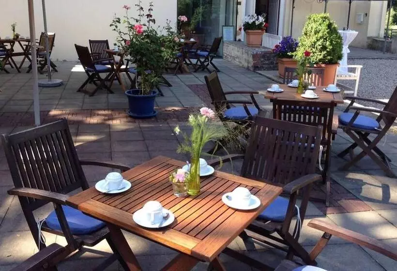 酒店 Burg Boetzelaer