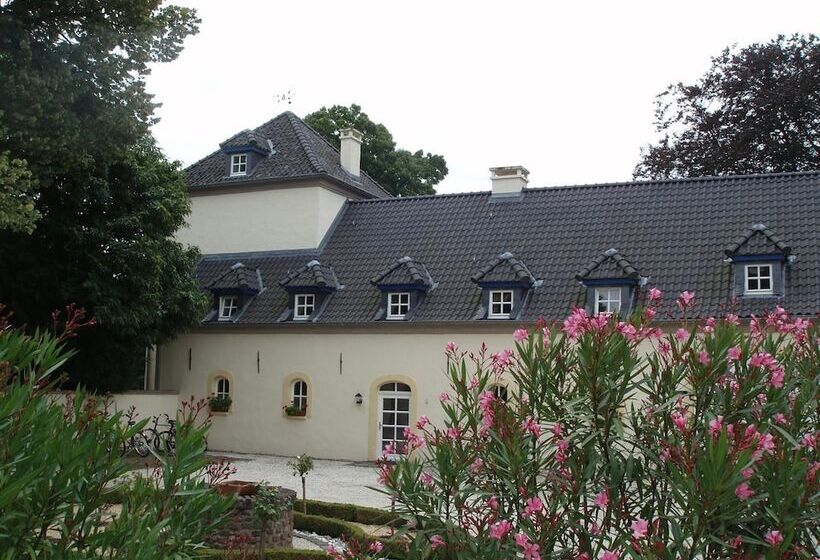 酒店 Burg Boetzelaer