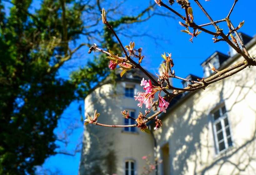 酒店 Burg Boetzelaer