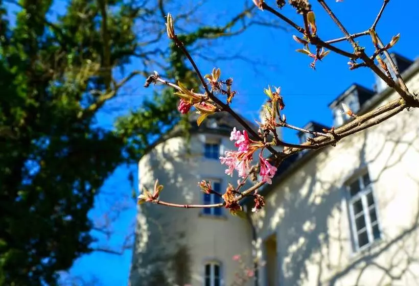 酒店 Burg Boetzelaer