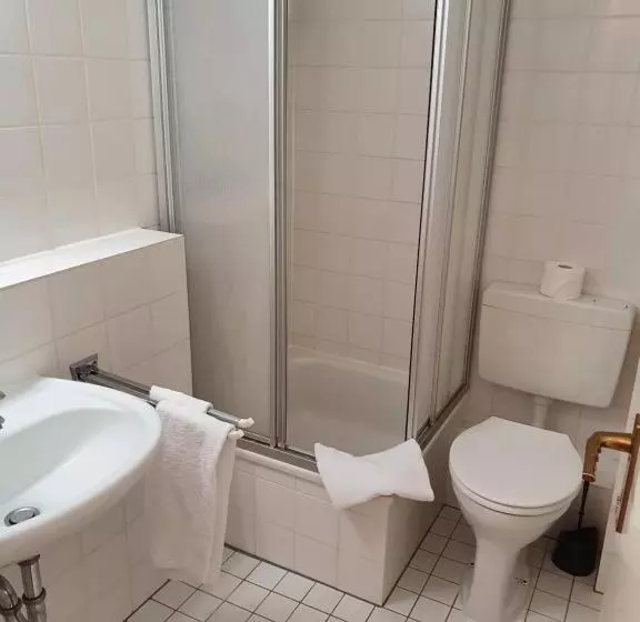 酒店 Casino Im Park