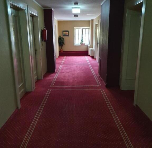 酒店 Casino Im Park