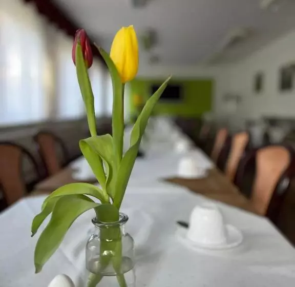 酒店 Feriendorf Waldfrieden