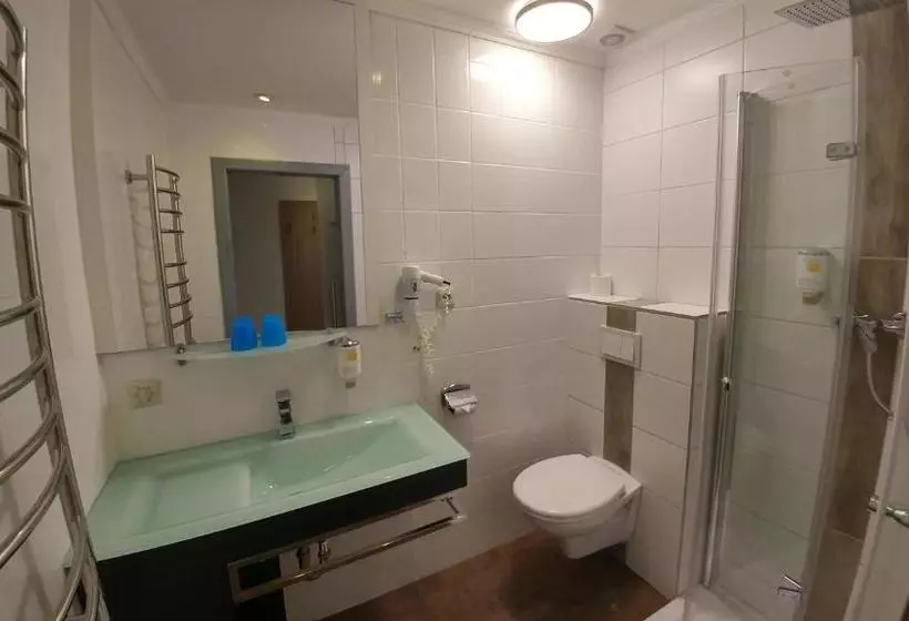 فندق Goldener Anker