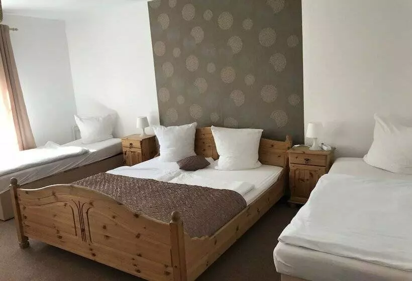 فندق Pension Neuschönau