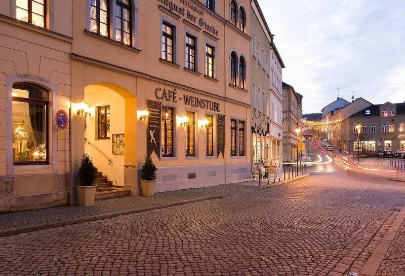 Steiger Hotel Sebnitzer Hof