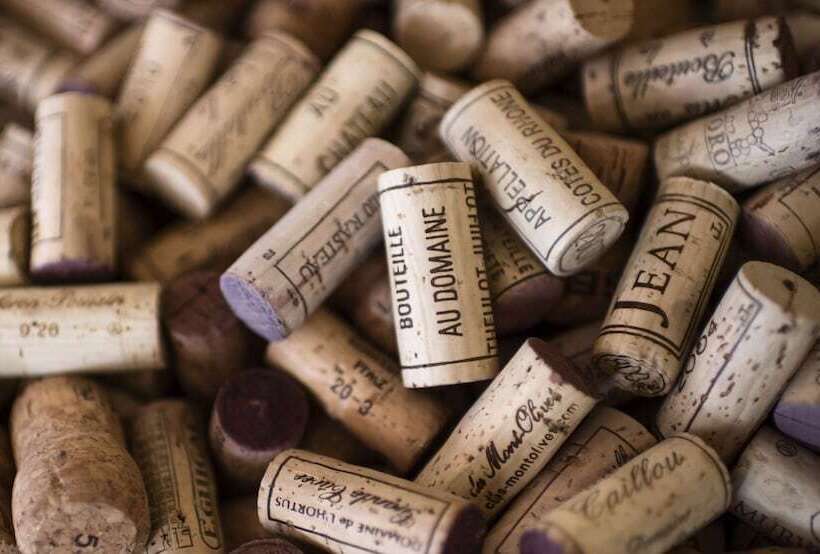 Steiger Hotel Sebnitzer Hof