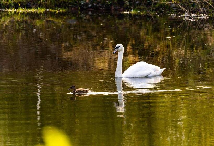 ホテル Waldschlösschen Brotterode