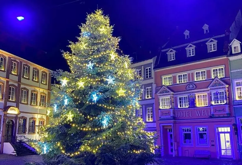 בית מלון כפרי Well Garni