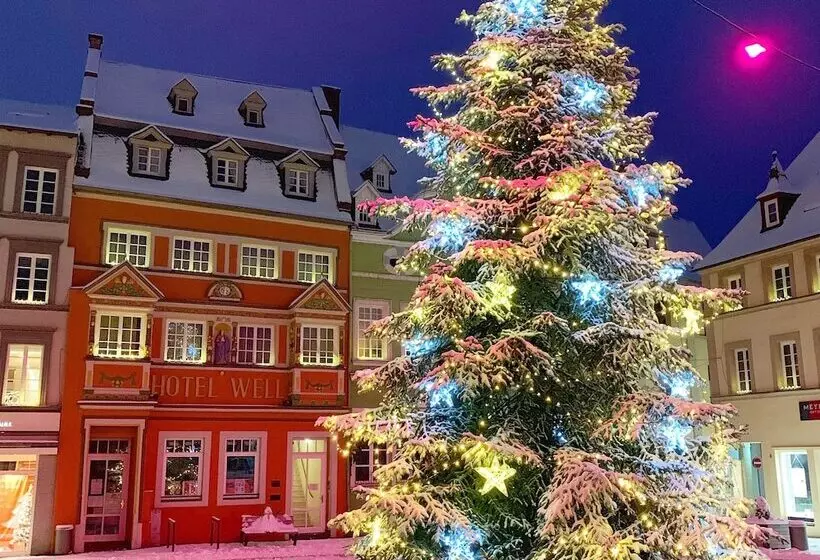 בית מלון כפרי Well Garni