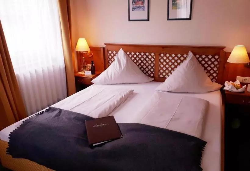 펜션 Brauereigasthof Dachsenfranz