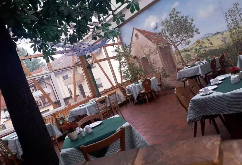 펜션 Brauereigasthof Dachsenfranz