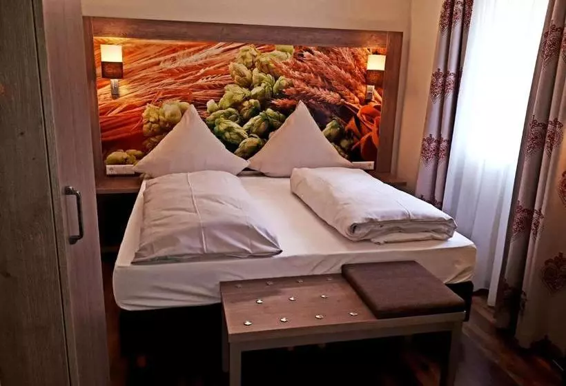 펜션 Brauereigasthof Dachsenfranz