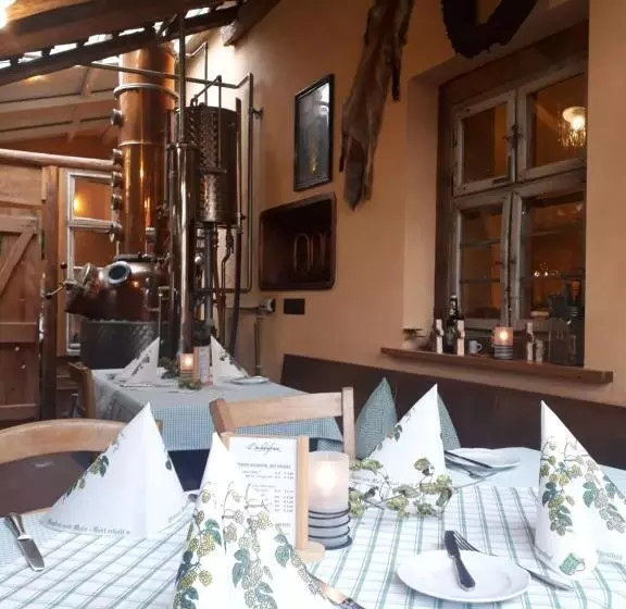 펜션 Brauereigasthof Dachsenfranz