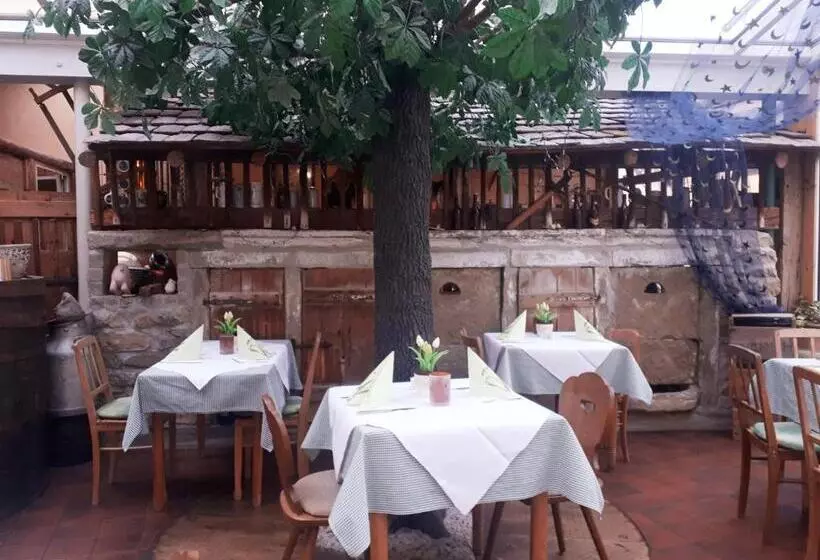 펜션 Brauereigasthof Dachsenfranz