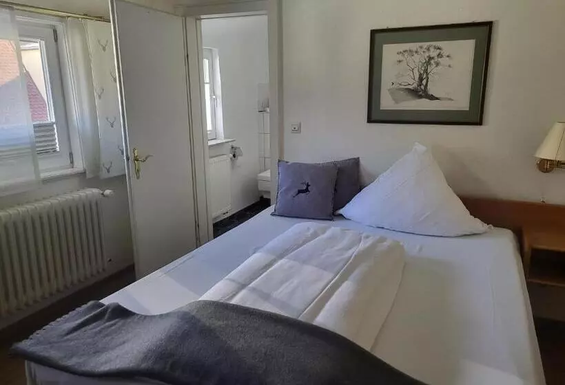 펜션 Brauereigasthof Dachsenfranz