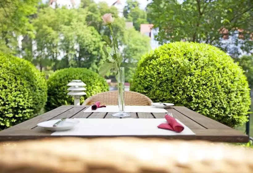 酒店 Domizil Tübingen