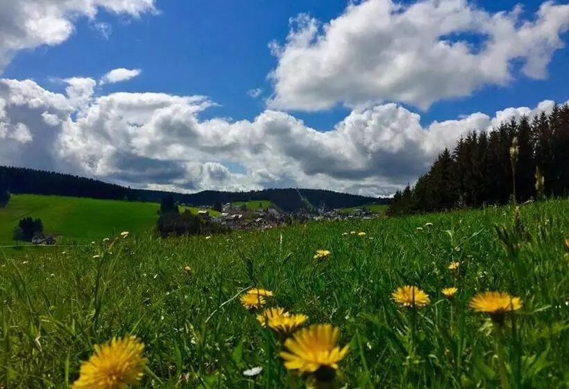 Boutique Hotel Dorer