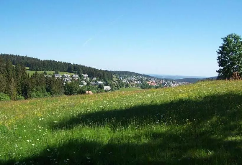 Boutique Hotel Dorer