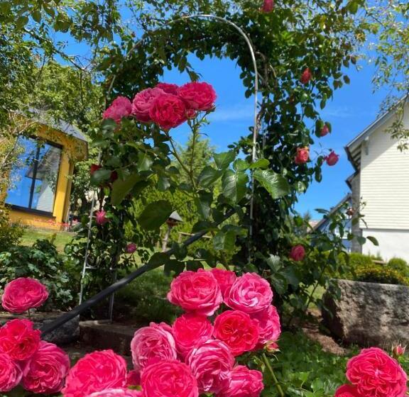 Boutique Hotel Dorer