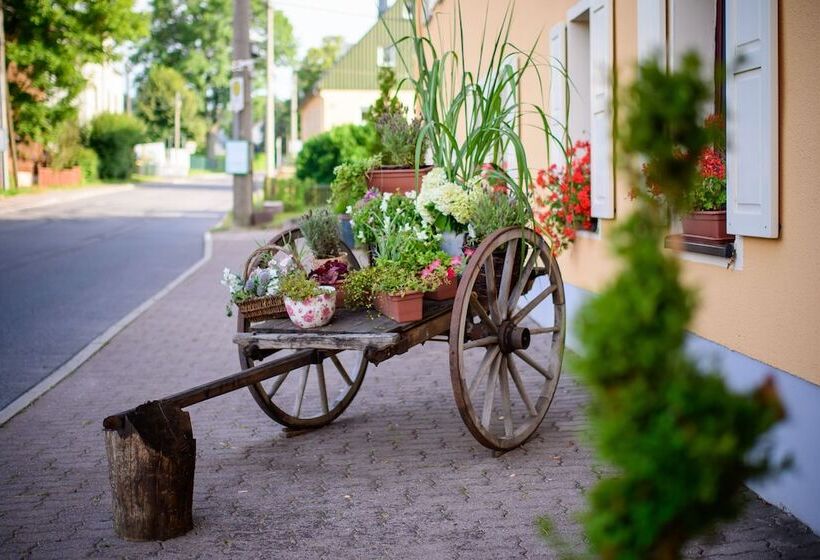 Erzgebirgshotel Freiberger Höhe