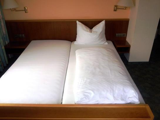 Pansiyon Gasthof Zum Waldhorn