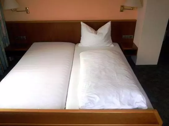 膳宿费 Gasthof Zum Waldhorn